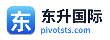 东升国际
